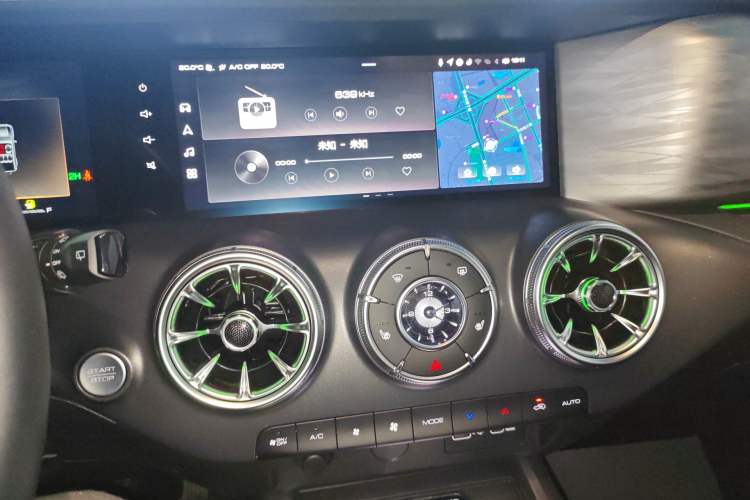 Used Tank 300 2024 2.0T Conqueror
