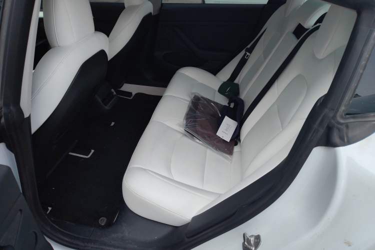 Used Tesla Model 3 2021 Revised Performance Version with All-Wheel Drive 3D1 Left Rear Seat