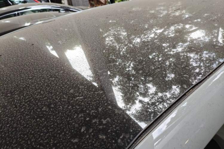 Used Leapmotor B10 2025 510 Joyful Edition