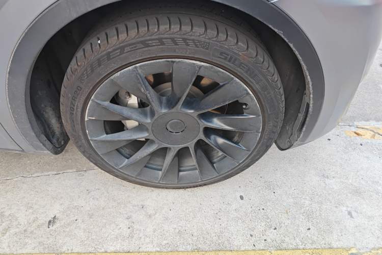 Used Tesla Model Y 2021 Standard Range Rear-Wheel Drive Version
