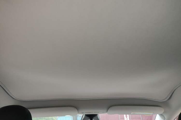 Used Tesla Model Y 2021 Standard Range Rear-Wheel Drive Version Headliner