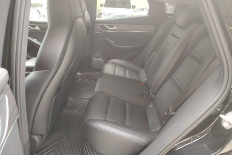 Used SERES SF5 2021 Four-Wheel Drive Freedom Expedition Edition Left Rear Seat