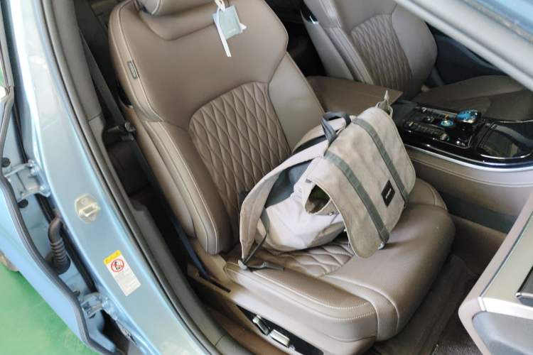 Used BYD Han 2023 EV Champion Edition 605KM Front-Drive Premium Model Right Front Seat