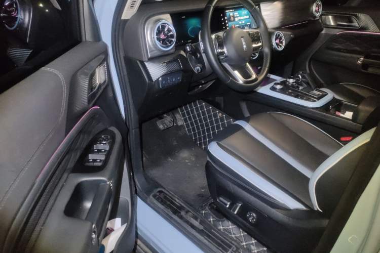 Used Tank 300 2021 2.0T Monet Tribute Limited Edition