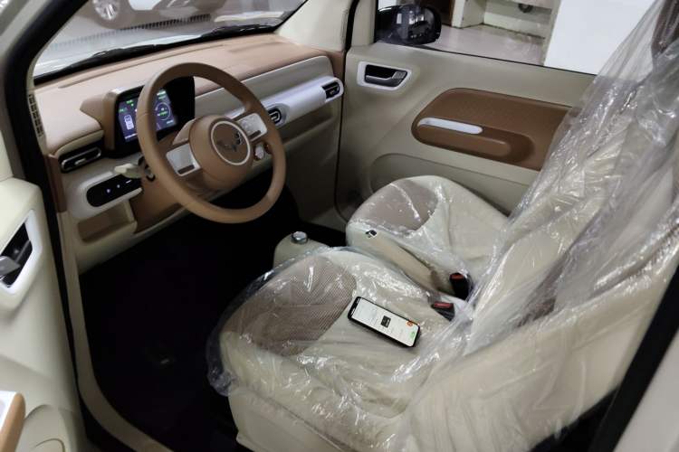 Used Wuling Hongguang MINIEV 2024 3rd Generation 215km Youth Edition Left Front Seat