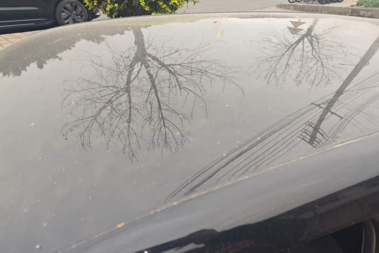 Used Skoda Fabia 2014 1.6L Manual Sport Edition
