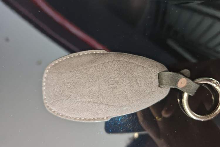Used Hongqi HS5 2023 2.0T Qixiang Pro Edition