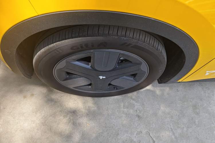 Used firefly 2025 Illuminated Edition
