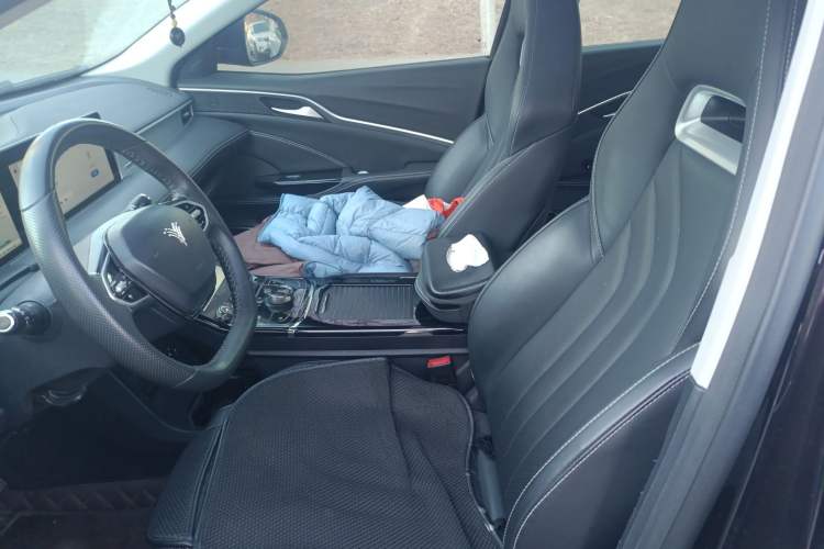 Used NETA U 2022 NETA U-Ⅱ 500 Deluxe Edition