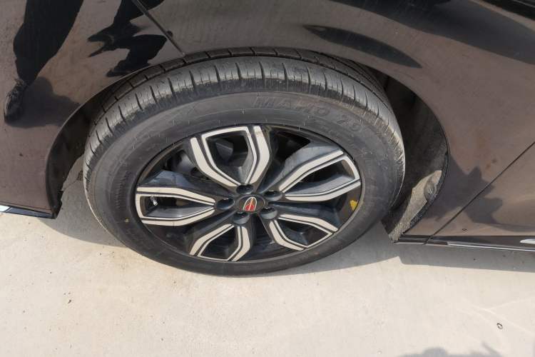 Used Hongqi HQ9 2023 2.0T Smart Connect Flagship Edition Exterior 4