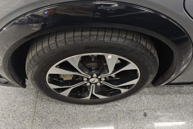 Used Ford Mustang Mach-E 2021 AION Y Plus Rear-Drive Luxury Edition (Long Range)
