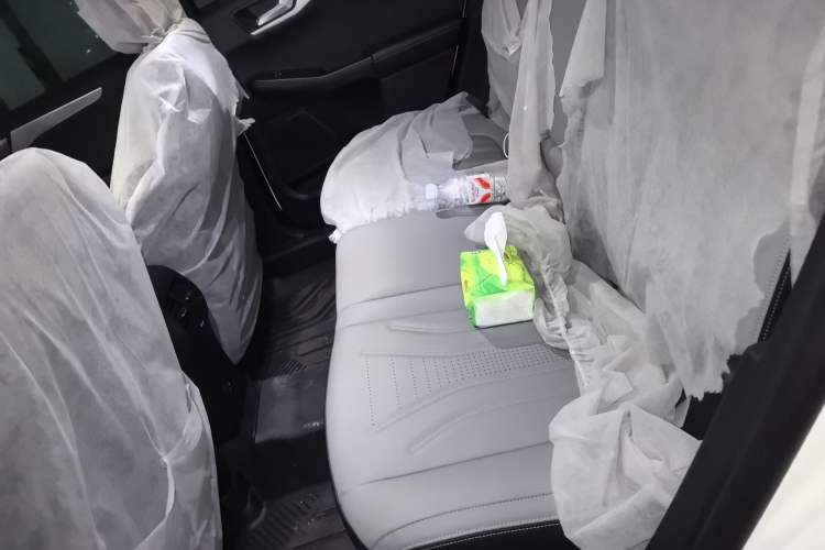 Used Ford Escape 2024 EcoBoost 245 Two-Wheel-Drive Titanium Edition Left Rear Seat