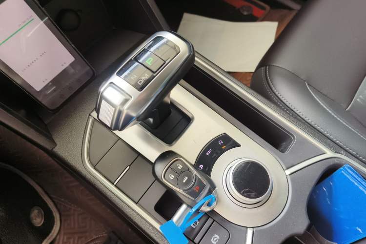 Used Great Wall Poer 2019 2.0T Commercial Version Automatic Gasoline Two-Wheel Drive Elite Trim with Long Bed – GW4C20B