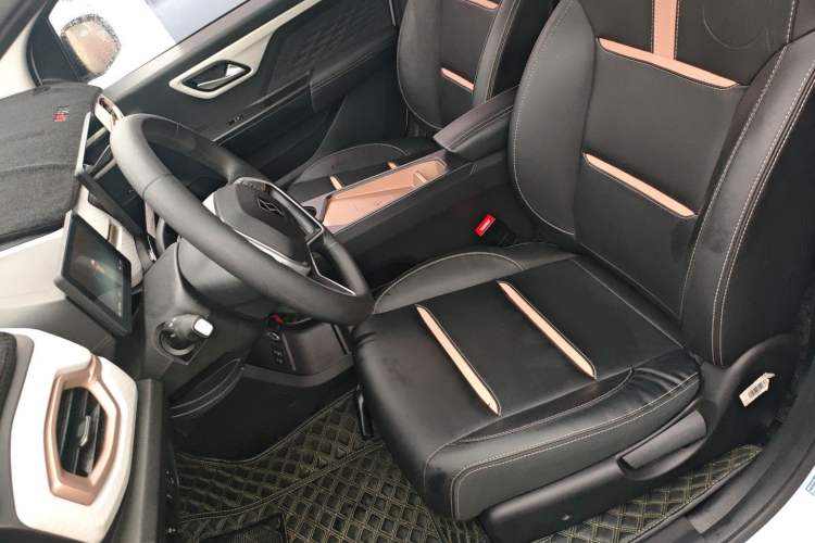 Used SOL E10X 2022 Flower Fairy Design Four-Leaf Clover Left Front Seat