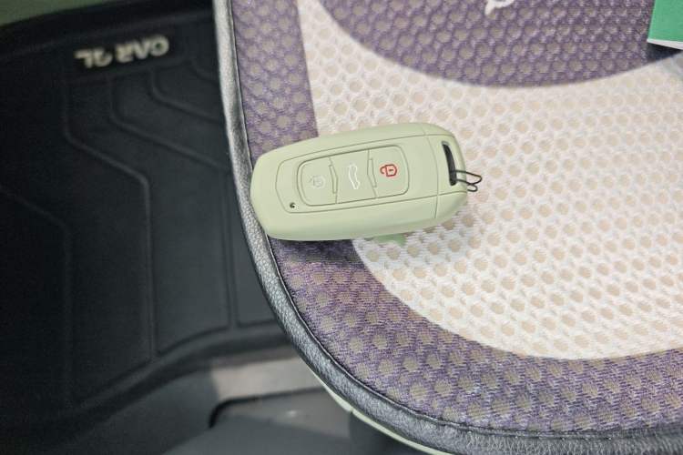 Used Geely Galaxy Panda 2025 210km Panda Rider Vehicle Key