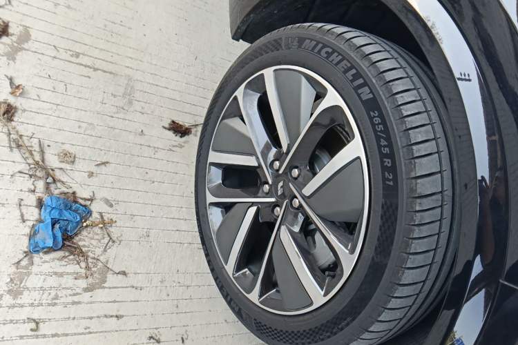 Used Li Auto L8 2024 Max