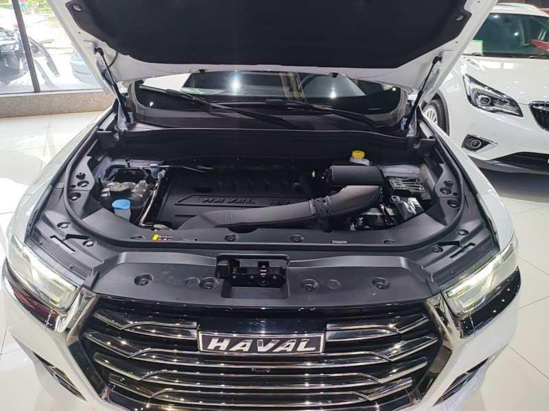 Used Haval H6 2021 National Trend Edition 1.5T Automatic Urban Version — 19