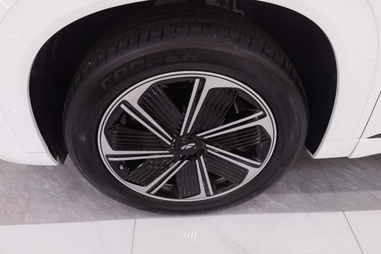 Used Chery Fengyun T10 2024 210 Luxury Edition
