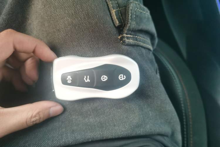 Used Geely Auto Monjaro 2019 350T Dark Knight Limited Edition
