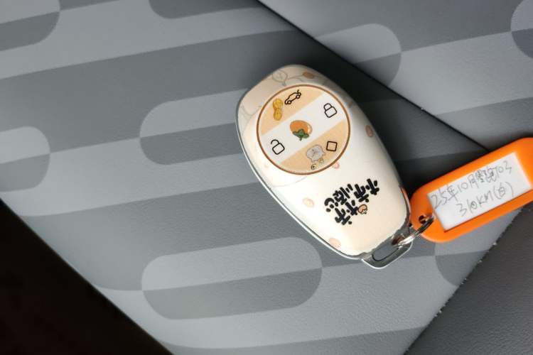 Used Leapmotor T03 2025 310 Comfort Edition Vehicle Key