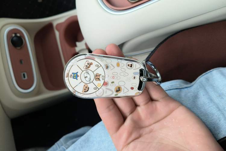 Used ORA Good Cat 2024 401 km Luxury Version Vehicle Key