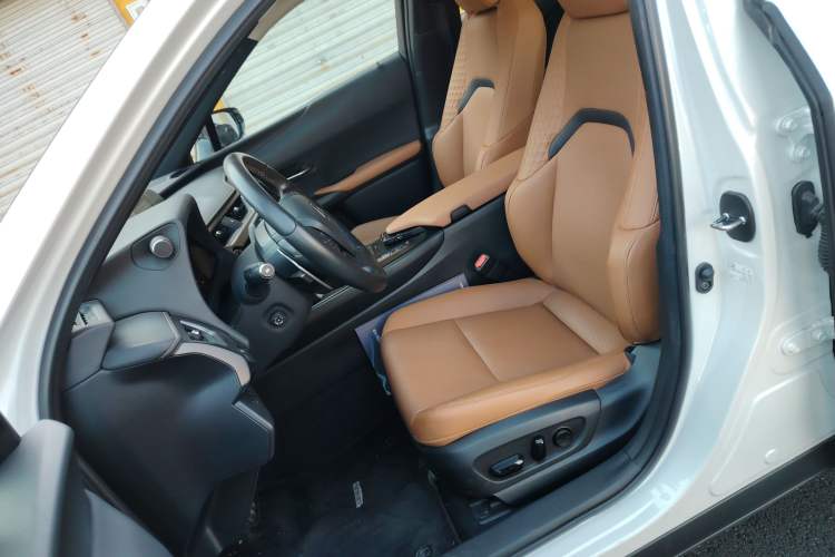 Used Lexus UX New Energy 2020 300e Pure·Joy Edition