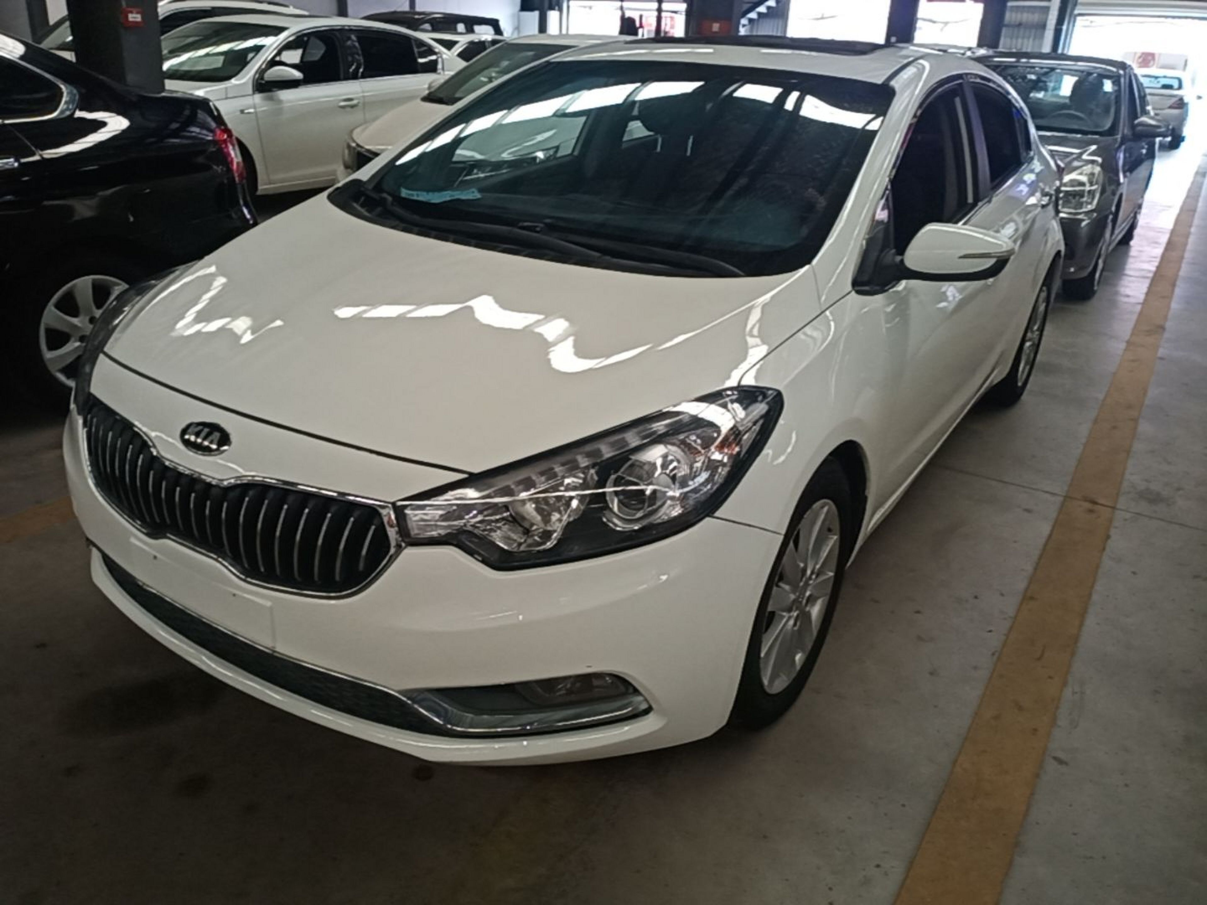 Parte inferior delantera