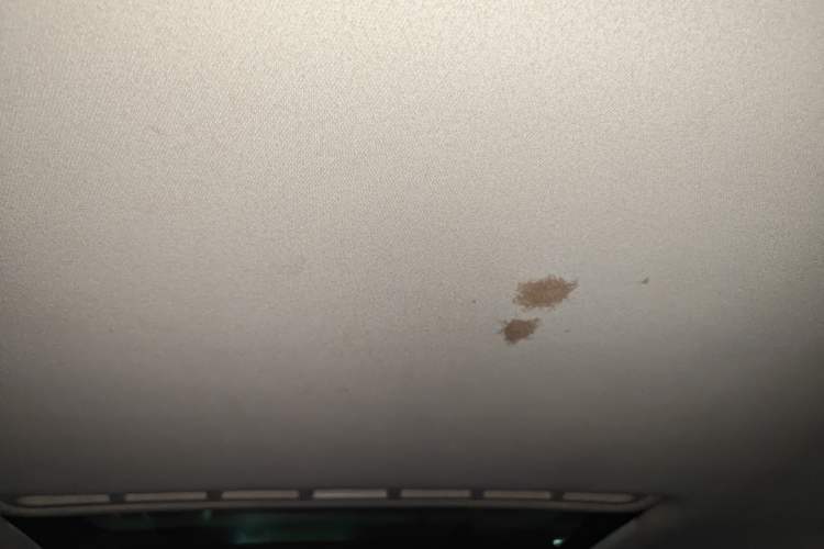 Used Volkswagen Jetta 2013 1.6L Automatic Comfort Model Headliner