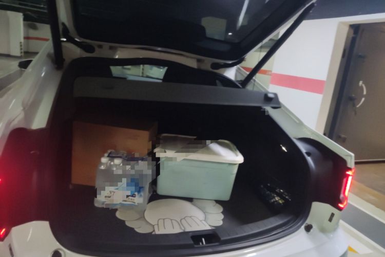 Used Polestar 2 2020 First Edition
