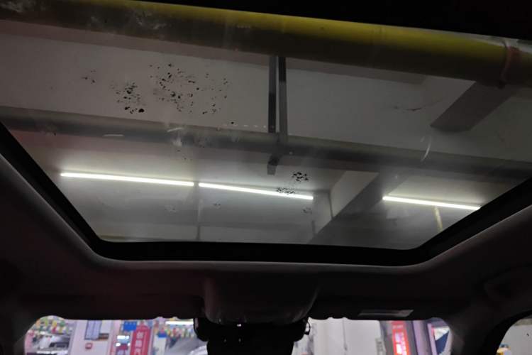 Used Haval DARGO 2024 2.0T DCT Chinese Rural Dog Edition
