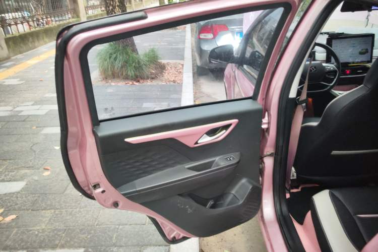 Used SOL E10X 2022 Flower Fairy Style Baby's Breath