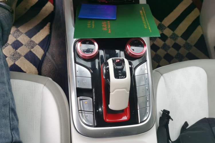 Used Cyberspace Tank 300 2021 2.0T Cyber Tank
