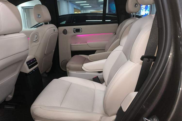 Used Li Auto L9 2022 Max model Left Rear Seat