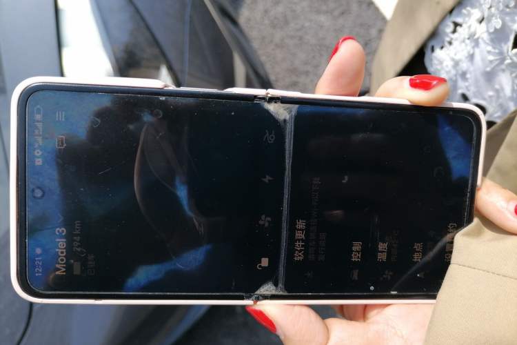 Used Tesla Model 3 2021 Revised Version Standard Range Rear-Wheel Drive Upgraded Edition 3D1