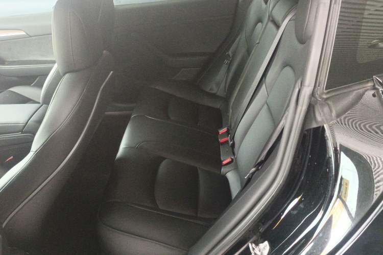 Used Tesla Model 3 2022 Performance High-Performance All-Wheel-Drive Version Left Rear Seat