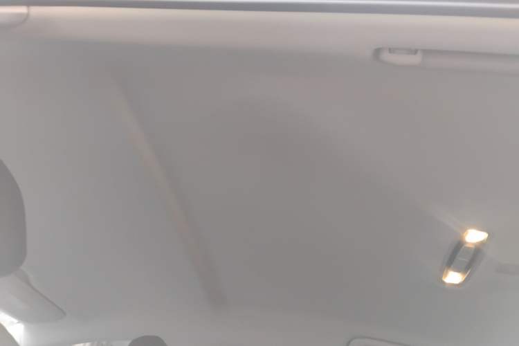 Used Hongqi E-QM5 2024 450km Range Commuter Version Headliner