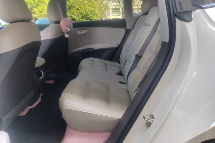 Used IM LS6 2025 Lingxi Intelligent Driving Edition Left Rear Seat