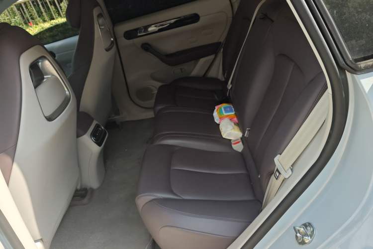 Used Leapmotor C11 2023 Pure Electric 500 Comfort Edition Left Rear Seat