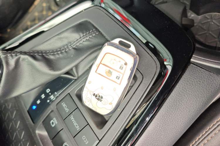 Used Toyota Wildlander 2024 2.0L CVT Two-Wheel Drive Luxury PLUS Edition Interior 1