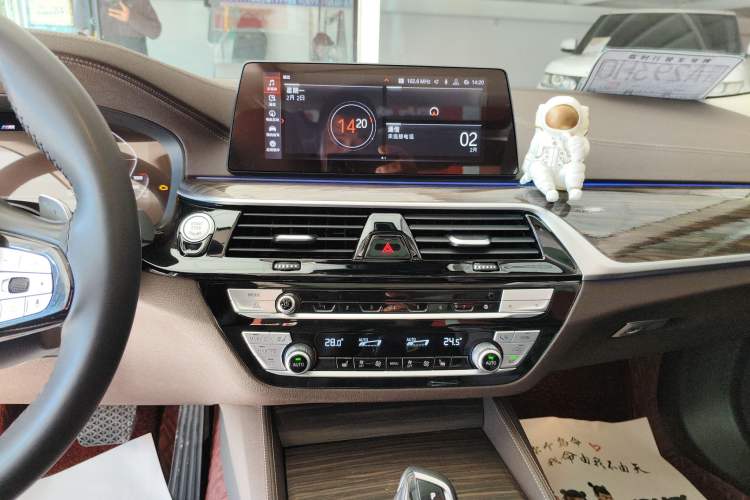 Used BMW 5 Series 2020 530Li Leading Edition Luxury Package