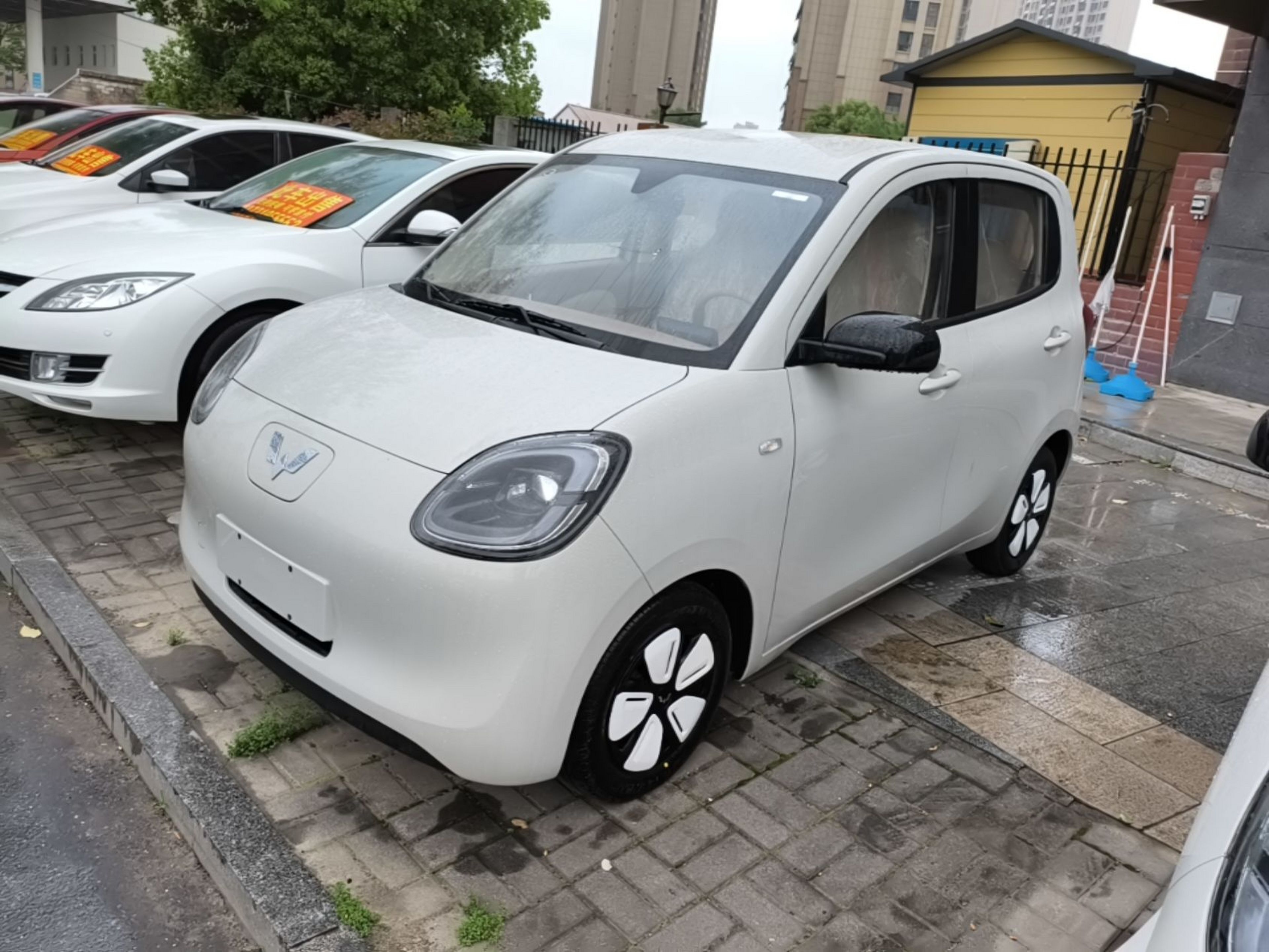 Parte inferior delantera