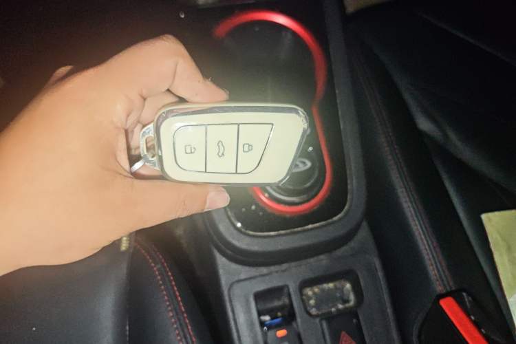 Used Chery New Energy Little Ant 2023 251km True Love Edition Lithium Iron Phosphate