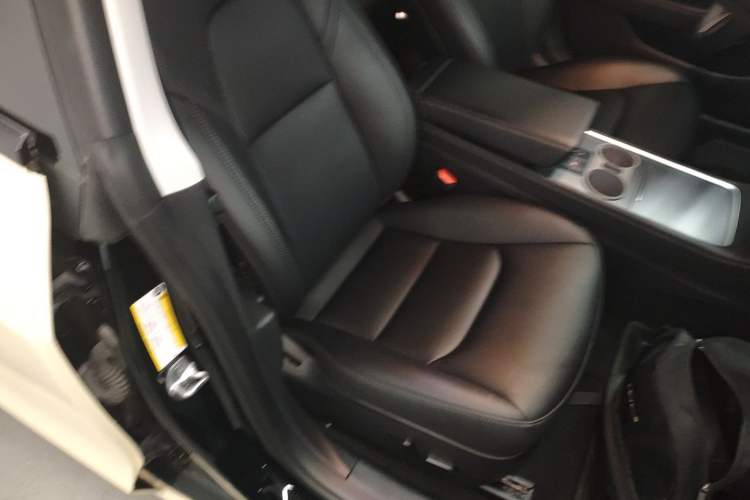 Used Tesla Model 3 2022 Rear-Wheel-Drive Version Right Front Seat