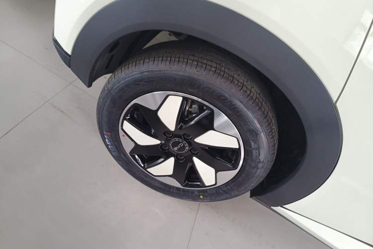 Used BYD Dolphin 2025 420km Free Edition Right Rear Wheel Hub