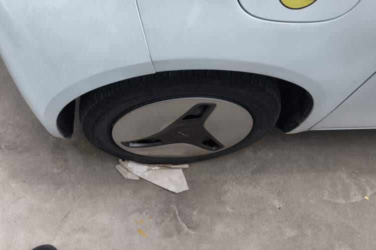 Used ORA White Cat 2020 401 km Long-Range Version