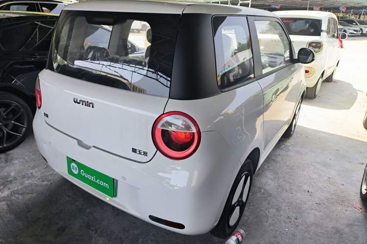 Used Qiyuan Lumin 2025 205 km Xiangqin Version
