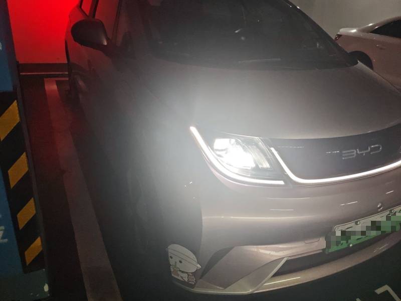 Used BYD Dolphin 2023 420 km Free Version — 7