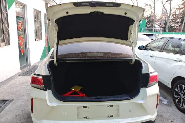 Used Venucia D60EV 2020 Standard Range T3
