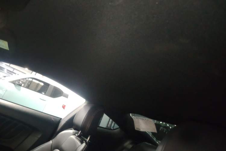 Used Ford Mustang 2016 2.3T Performance Edition Headliner