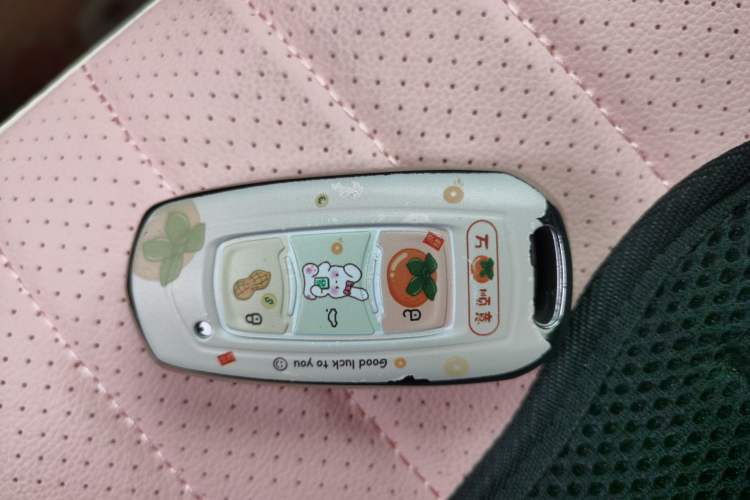 Used Geely Galaxy Panda 2025 210 km – Yuanqi Bear